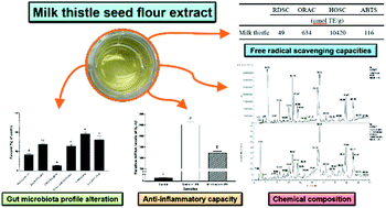 Graphical abstract: The chemical composition of a cold-pressed milk thistle seed flour extract, and its potential health beneficial properties