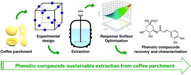 Graphical abstract: Response surface methodology to optimise the heat-assisted aqueous extraction of phenolic compounds from coffee parchment and their comprehensive analysis