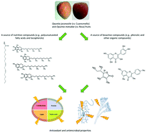 Graphical abstract: Chemical characterization and biological activities of two varieties of xoconostle fruits Opuntia joconostle F.A.C. Weber ex Diguet and Opuntia matudae Scheinvar