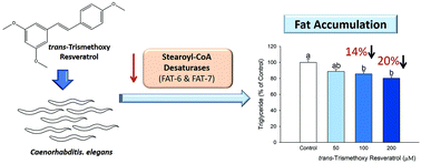Graphical abstract: trans-Trismethoxy resveratrol decreased fat accumulation dependent on fat-6 and fat-7 in Caenorhabditis elegans