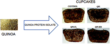 Graphical abstract: The potential use of modified quinoa protein isolates in cupcakes: physicochemical properties, structure and stability of cupcakes