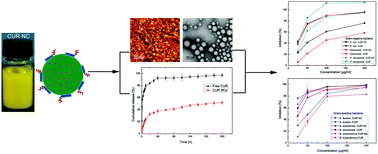 Graphical abstract: Enhanced curcumin solubility and antibacterial activity by encapsulation in PLGA oily core nanocapsules