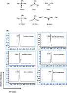 Graphical abstract: A faster and simpler UPLC-MS/MS method for the simultaneous determination of trimethylamine N-oxide, trimethylamine and dimethylamine in different types of biological samples