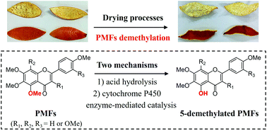 Graphical abstract: Characterization of polymethoxyflavone demethylation during drying processes of citrus peels