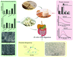 Graphical abstract: Effect of microbial transglutaminase cross-linking on the quality characteristics and potential allergenicity of tofu