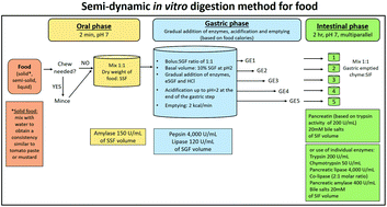 Graphical abstract: A standardised semi-dynamic in vitro digestion method suitable for food – an international consensus