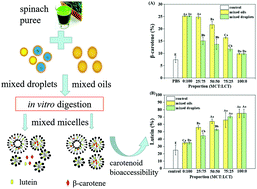 Graphical abstract: Improvement of carotenoid bioaccessibility from spinach by co-ingesting with excipient nanoemulsions: impact of the oil phase composition