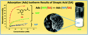 Graphical abstract: Molecular imprinted polymers for the controlled uptake of sinapic acid from aqueous media