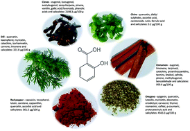 Graphical abstract: Dietary salicylates in herbs and spices