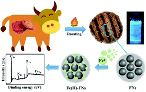 Graphical abstract: Food-borne nanocarriers from roast beef patties for iron delivery