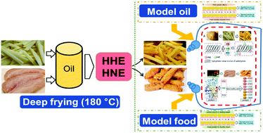 Graphical abstract: Matrix-mediated distribution of 4-hydroxy-2-hexanal (nonenal) during deep-frying of chicken breast and potato sticks in vegetable oil