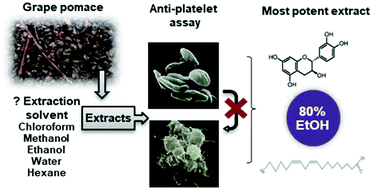 Graphical abstract: Evaluation of anti-platelet activity of grape pomace extracts