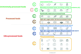 Graphical abstract: The holistico-reductionist Siga classification according to the degree of food processing: an evaluation of ultra-processed foods in French supermarkets