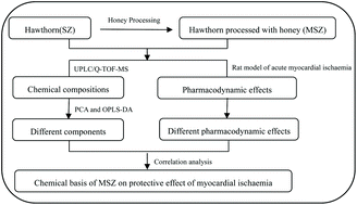Graphical abstract: Chemical basis of hawthorn processed with honey protecting against myocardial ischaemia