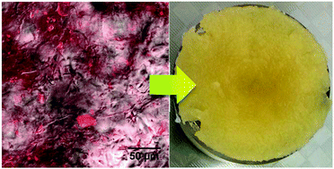 Graphical abstract: Fibre-based oleogels: effect of the structure of insoluble fibre on its physical properties