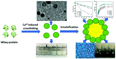 Graphical abstract: Fabrication of high internal phase Pickering emulsions with calcium-crosslinked whey protein nanoparticles for β-carotene stabilization and delivery