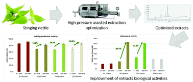 Graphical abstract: Effect of high hydrostatic pressure extraction on biological activities of stinging nettle extracts