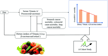 Graphical abstract: Prediagnostic dietary intakes of vitamin A and β-carotene are associated with hepatocellular-carcinoma survival
