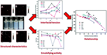 Graphical abstract: Colloidal characteristics, emulsifying activities, and interfacial properties of α-lactalbumin–chitosan electrostatic complexes: effects of mass ratio and pH