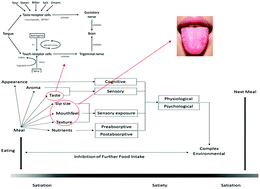 Graphical abstract: The effect of taste and taste perception on satiation/satiety: a review