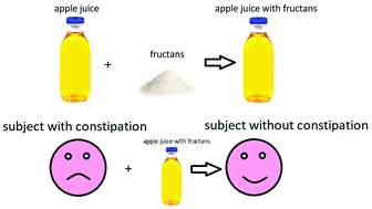 Graphical abstract: Chemical stability of fructans in apple beverages and their influence on chronic constipation