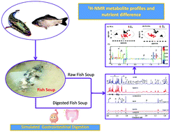 Graphical abstract: 1H-NMR based metabolomics reveals the nutrient differences of two kinds of freshwater fish soups before and after simulated gastrointestinal digestion