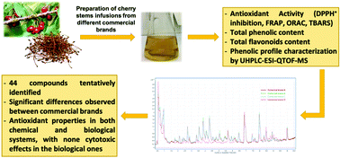 Graphical abstract: Cherry stem infusions: antioxidant potential and phenolic profile by UHPLC-ESI-QTOF-MS