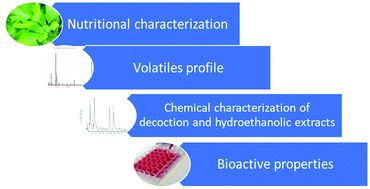 Graphical abstract: Chemical and bioactive characterization of the aromatic plant Levisticum officinale W.D.J. Koch: a comprehensive study