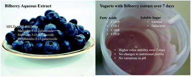 Graphical abstract: Extracts from Vaccinium myrtillus L. fruits as a source of natural colorants: chemical characterization and incorporation in yogurts