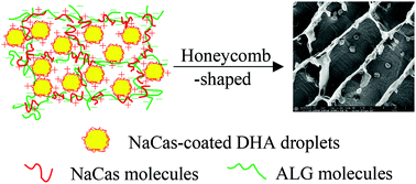Graphical abstract: Enhancing the physicochemical stability and digestibility of DHA emulsions by encapsulation of DHA droplets in caseinate/alginate honeycomb-shaped microparticles