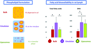 Graphical abstract: Intestinal bioavailability of n-3 long-chain polyunsaturated fatty acids influenced by the supramolecular form of phospholipids