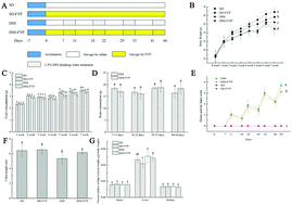 Graphical abstract: Effects of a β-type glycosidic polysaccharide from Flammulina velutipes on anti-inflammation and gut microbiota modulation in colitis mice