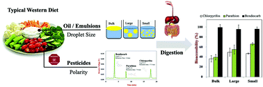 Graphical abstract: Impact of pesticide polarity and lipid phase dimensions on the bioaccessibility of pesticides in agricultural produce consumed with model fatty foods