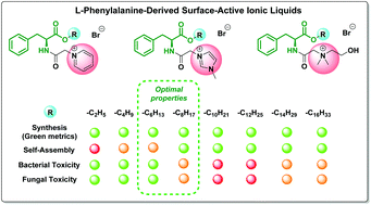 Graphical abstract: Synthesis, self-assembly, bacterial and fungal toxicity, and preliminary biodegradation studies of a series of l-phenylalanine-derived surface-active ionic liquids