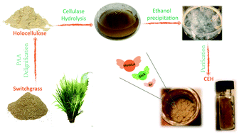 Graphical abstract: Cellulolytic enzyme-aided extraction of hemicellulose from switchgrass and its characteristics