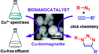 Synthesis of copper catalysts for click chemistry from distillery wastewater using magnetically recoverable bionanoparticles