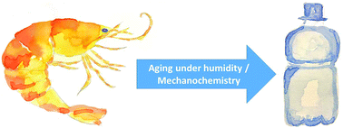 Graphical abstract: Synthesis of high molecular weight chitosan from chitin by mechanochemistry and aging