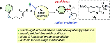 Graphical abstract: Visible-light-induced cascade radical ring-closure and pyridylation for the synthesis of tetrahydrofurans