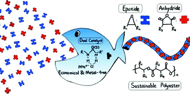Graphical abstract: Fully alternating sustainable polyesters from epoxides and cyclic anhydrides: economical and metal-free dual catalysis