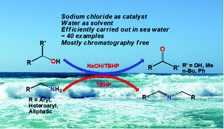 Graphical abstract: Table salt as a catalyst for the oxidation of aromatic alcohols and amines to acids and imines in aqueous medium: effectively carrying out oxidation reactions in sea water
