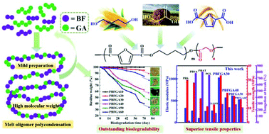 Graphical abstract: A mild method to prepare high molecular weight poly(butylene furandicarboxylate-co-glycolate) copolyesters: effects of the glycolate content on thermal, mechanical, and barrier properties and biodegradability