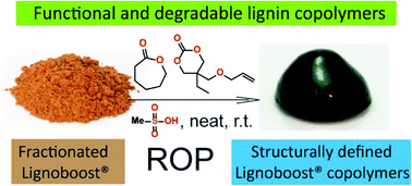 Graphical abstract: Transforming technical lignins to structurally defined star-copolymers under ambient conditions
