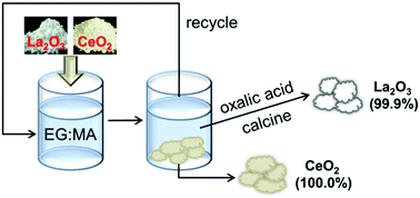 Graphical abstract: A strategy for the dissolution and separation of rare earth oxides by novel Brønsted acidic deep eutectic solvents