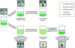 Graphical abstract: Temperature-responsive ionic liquids to set up a method for the simultaneous extraction and in situ preconcentration of hydrophilic and lipophilic compounds from medicinal plant matrices