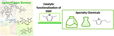Graphical abstract: Synthesis of functionalized tetrahydrofuran derivatives from 2,5-dimethylfuran through cascade reactions