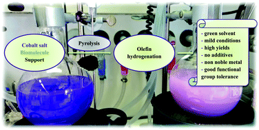 Graphical abstract: Biomolecule-derived supported cobalt nanoparticles for hydrogenation of industrial olefins, natural oils and more in water