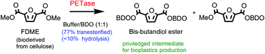 Graphical abstract: PET hydrolysing enzymes catalyse bioplastics precursor synthesis under aqueous conditions