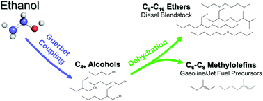 Graphical abstract: Catalytic synthesis of distillate-range ethers and olefins from ethanol through Guerbet coupling and etherification