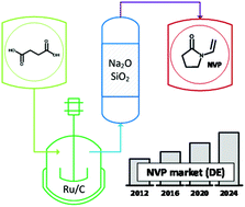 Graphical abstract: Extending the chemical product tree: a novel value chain for the production of N-vinyl-2-pyrrolidones from biogenic acids