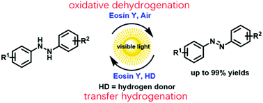 Graphical abstract: Visible-light-promoted oxidative dehydrogenation of hydrazobenzenes and transfer hydrogenation of azobenzenes